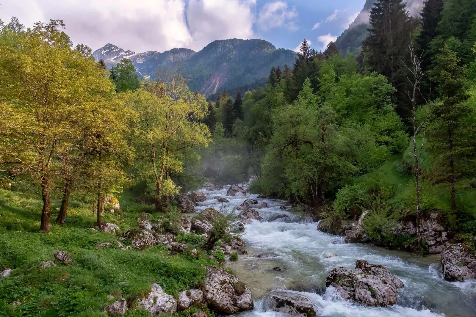 cetri slide